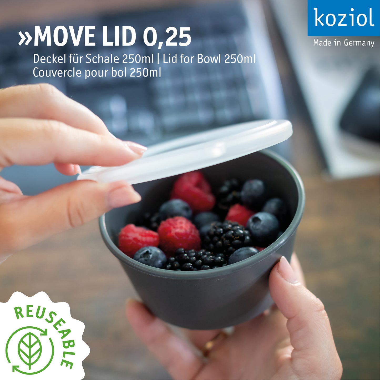»MOVE LID 0.25 in a set of 12