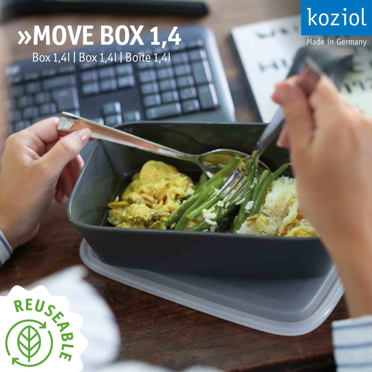 »MOVE BOX 1,4 im 12er-Set