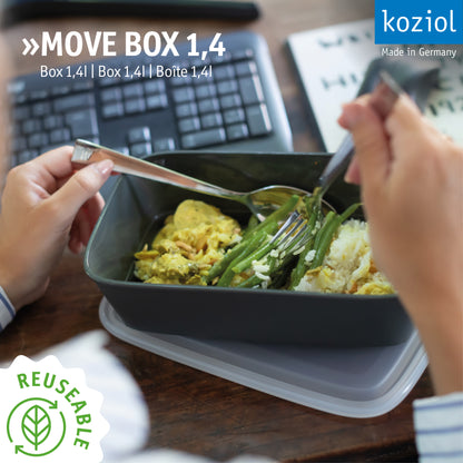 »MOVE BOX 1,4 im 12er-Set