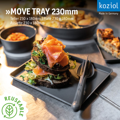 »MOVE TRAY 230 im 12er-Set