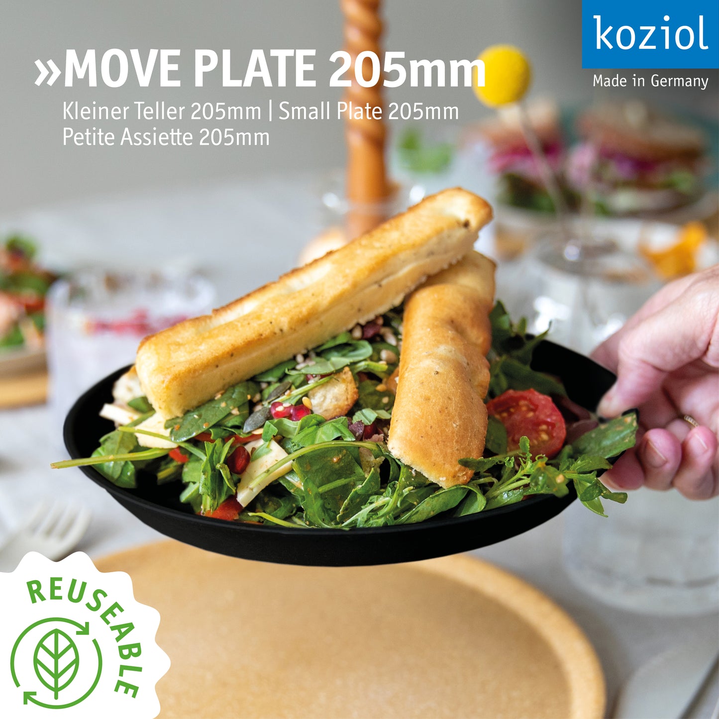 »MOVE PLATE 205 in a set of 12